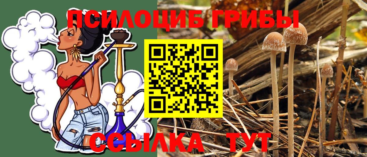 Псилоцибиновые грибы Magic Shrooms  Вход с VPN  Псилоцибиновые грибы Magic Shrooms  Мирный 